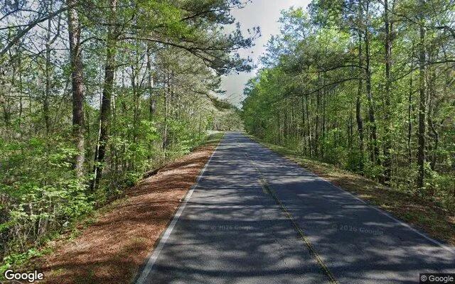 Decorative background for 1.64 Acres in Junction City - Talbot County, GA image 5
