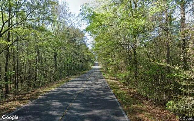 Decorative background for 1.64 Acres in Junction City - Talbot County, GA image 6