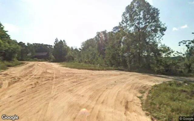 Decorative background for 1.5 Acres in Omaha - Stewart County, GA image 6