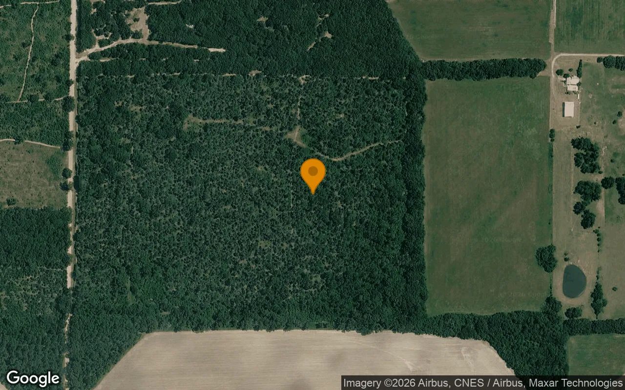 125.19 Acres in Camilla - Mitchell County, GA in Mitchell County, Georgia