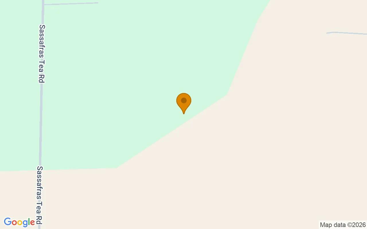 125.19 Acres in Camilla - Mitchell County, GA - Image 2