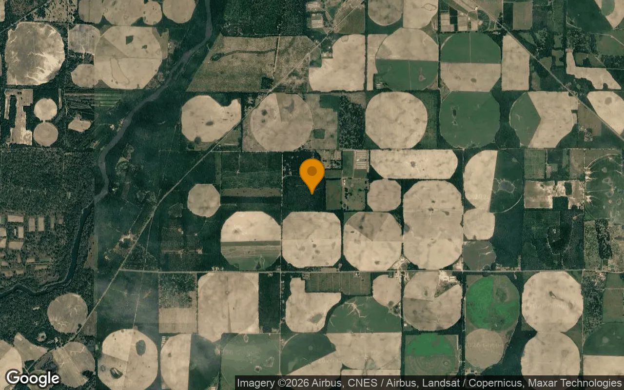 125.19 Acres in Camilla - Mitchell County, GA in Mitchell County, Georgia
