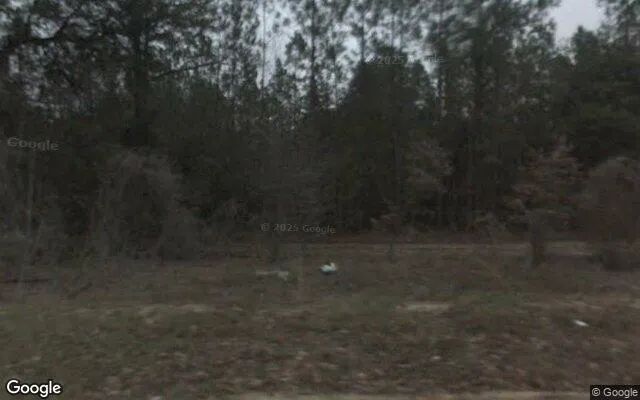 125.19 Acres in Camilla - Mitchell County, GA in Mitchell County, Georgia