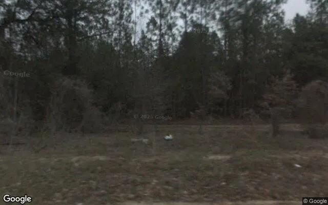 125.19 Acres in Camilla - Mitchell County, GA - Image 4