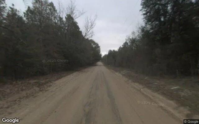 Decorative background for 125.19 Acres in Camilla - Mitchell County, GA image 5