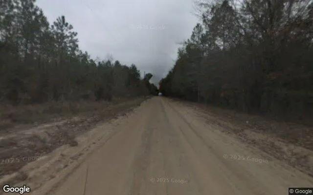 Decorative background for 125.19 Acres in Camilla - Mitchell County, GA image 6