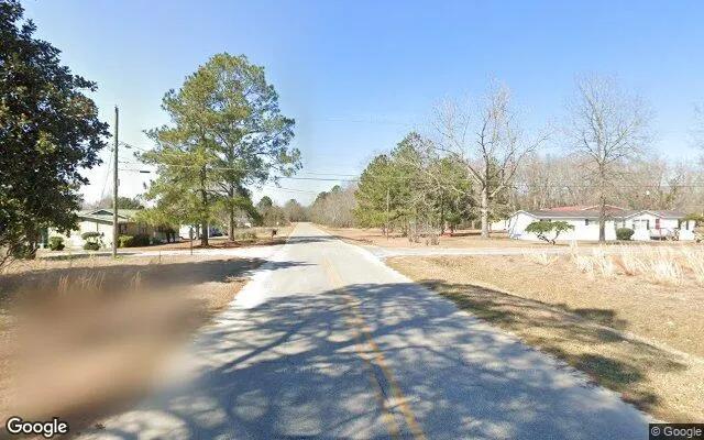 Decorative background for 0.42 Acres in Lumber City - Telfair County, GA image 5