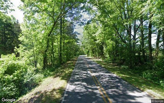 Decorative background for 35.21 Acres in Elberton - Elbert County, GA image 5