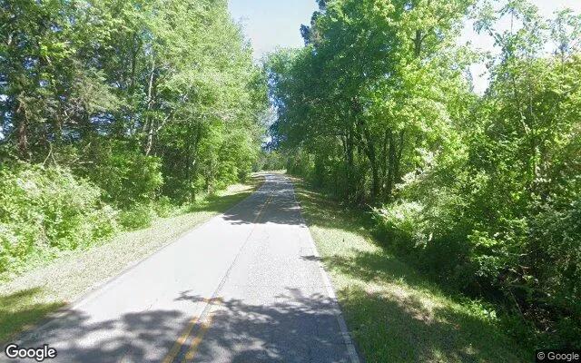 Decorative background for 35.21 Acres in Elberton - Elbert County, GA image 6