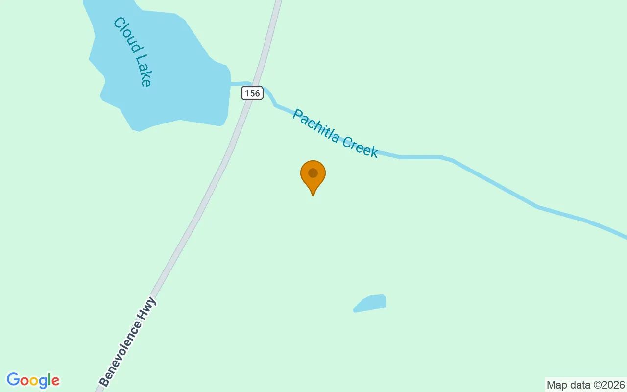 34.5 Acres in Cuthbert - Randolph County, GA in Randolph County, Georgia