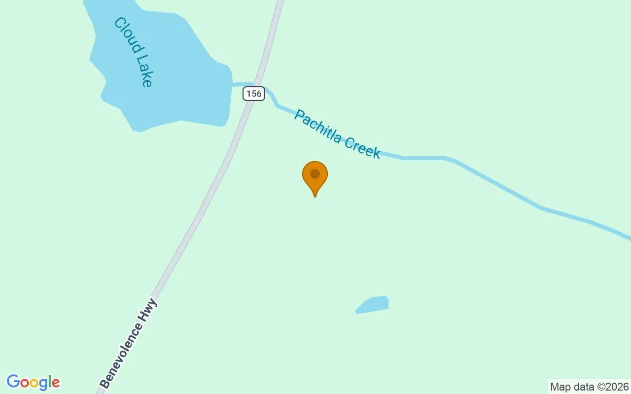34.5 Acres in Cuthbert - Randolph County, GA - Image 2