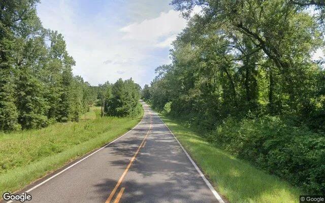 Decorative background for 34.5 Acres in Cuthbert - Randolph County, GA image 5