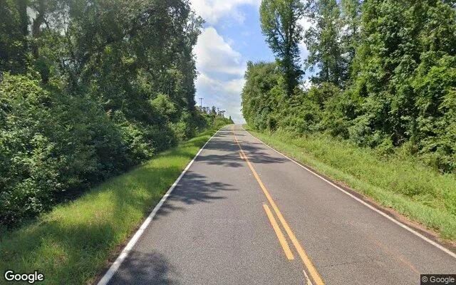 Decorative background for 34.5 Acres in Cuthbert - Randolph County, GA image 6