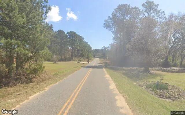 Decorative background for 0.55 Acres in Moultrie - Colquitt County, GA image 6