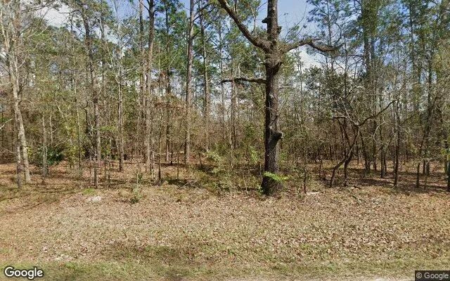 0.55 Acres in Donalsonville - Seminole County, GA in Seminole County, Georgia