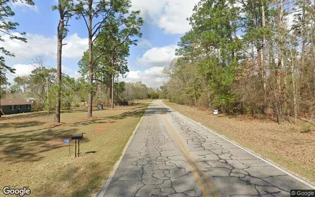 Decorative background for 0.55 Acres in Donalsonville - Seminole County, GA image 5
