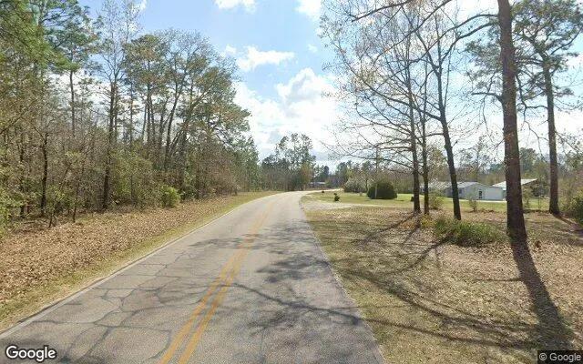 Decorative background for 0.55 Acres in Donalsonville - Seminole County, GA image 6