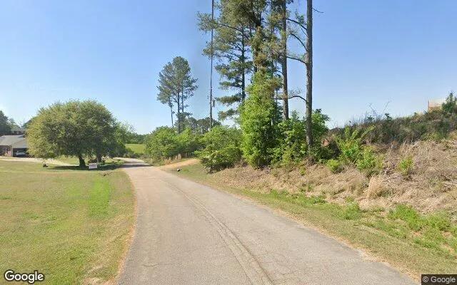Decorative background for 0.66 Acres in Franklin Springs - Franklin County, GA image 6