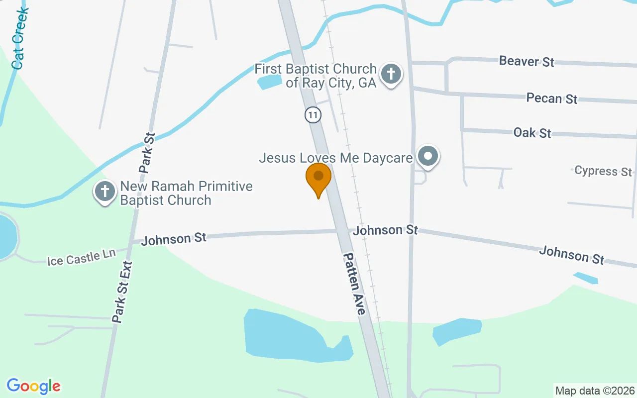 0.47 Acres in Ray City - Berrien County, GA in Berrien County, Georgia