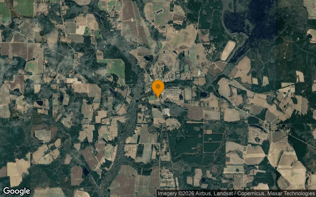 0.47 Acres in Ray City - Berrien County, GA in Berrien County, Georgia