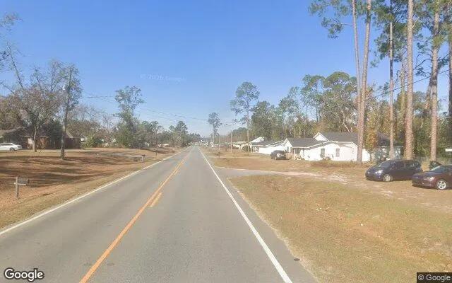 Decorative background for 0.47 Acres in Ray City - Berrien County, GA image 6
