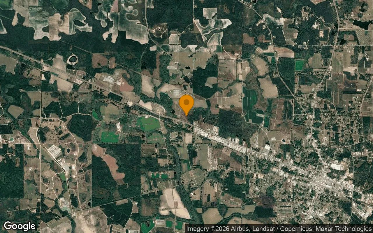 34.89 Acres in Baxley - Appling County, GA in Appling County, Georgia