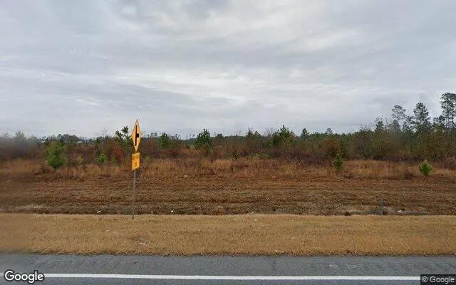 34.89 Acres in Baxley - Appling County, GA - Image 4