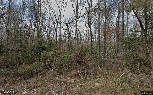 125.32 Acres in Keysville - Burke County, GA in Burke County, Georgia