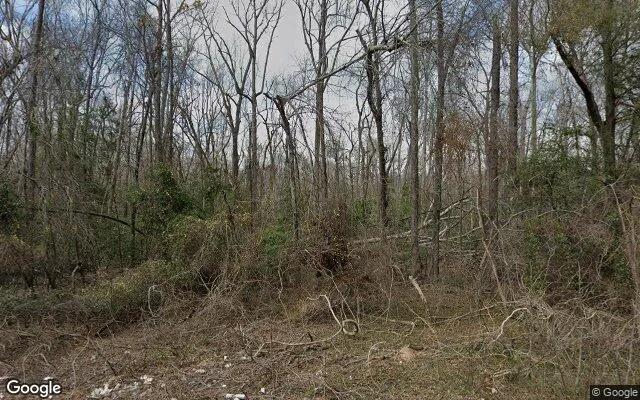 125.32 Acres in Keysville - Burke County, GA - Image 4