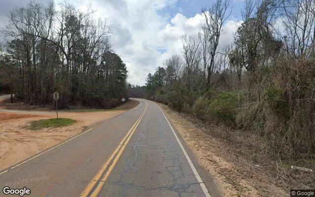 Decorative background for 125.32 Acres in Keysville - Burke County, GA image 5