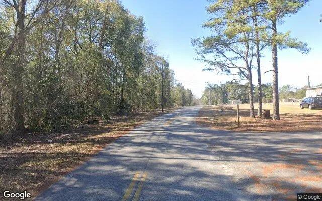 Decorative background for 1.51 Acres in Georgetown - Quitman County, GA image 6