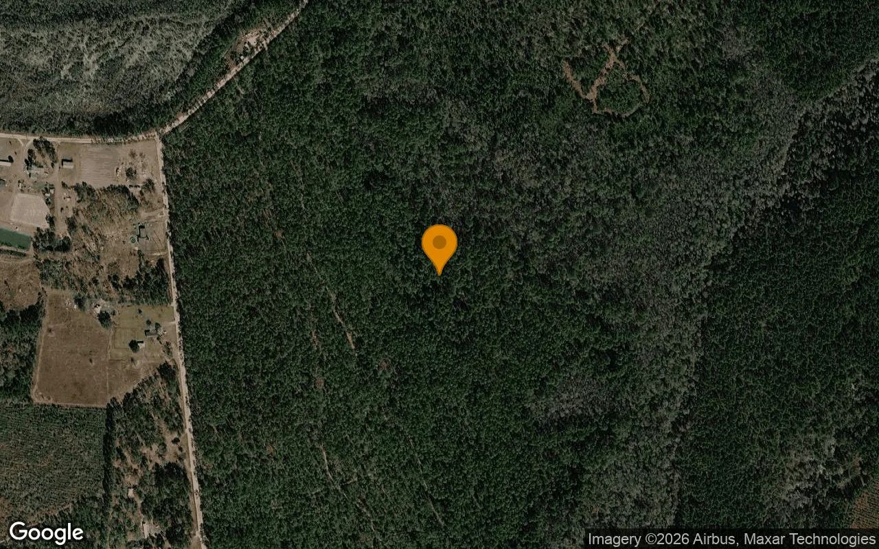 74.31 Acres in Argyle - Clinch County, GA in Clinch County, Georgia