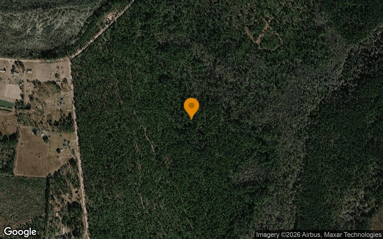 74.31 Acres in Argyle - Clinch County, GA - Main image