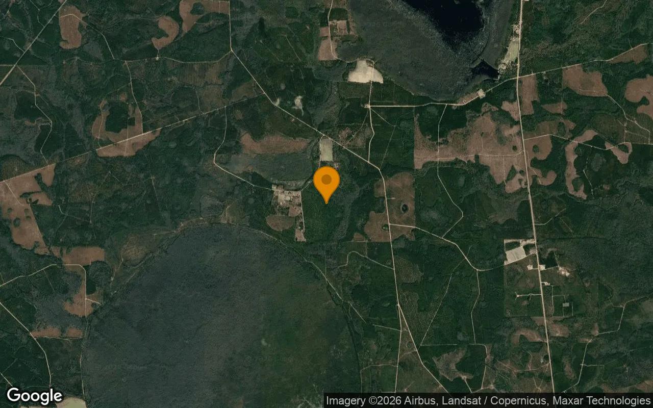 74.31 Acres in Argyle - Clinch County, GA - Image 3