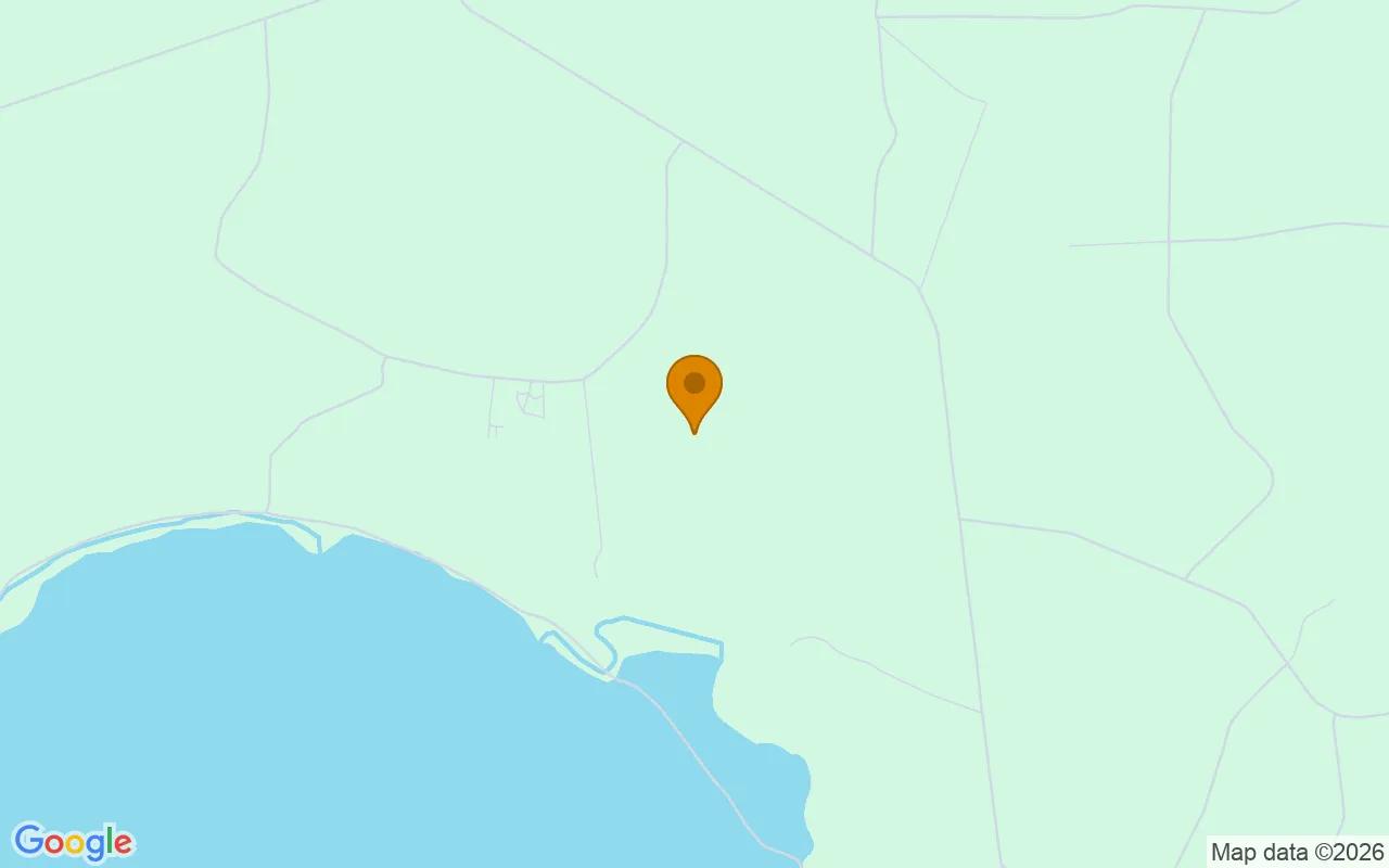 74.31 Acres in Argyle - Clinch County, GA - Image 4