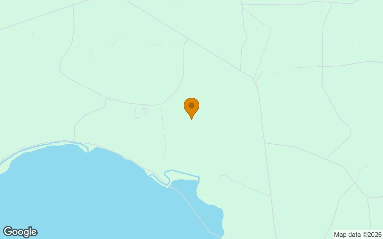 Decorative background for 74.31 Acres in Argyle - Clinch County, GA image 5