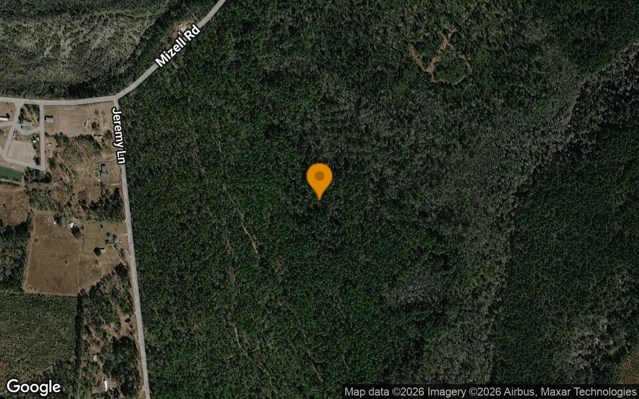 Decorative background for 74.31 Acres in Argyle - Clinch County, GA image 6
