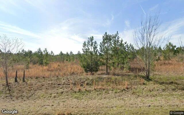 35.3 Acres in Adrian - Johnson County, GA in Johnson County, Georgia
