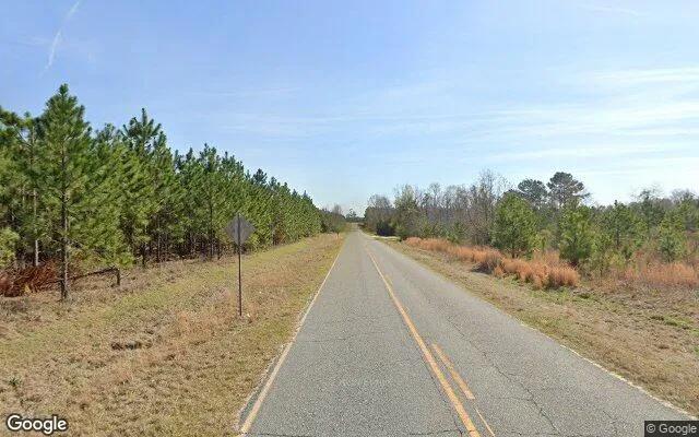Decorative background for 35.3 Acres in Adrian - Johnson County, GA image 5