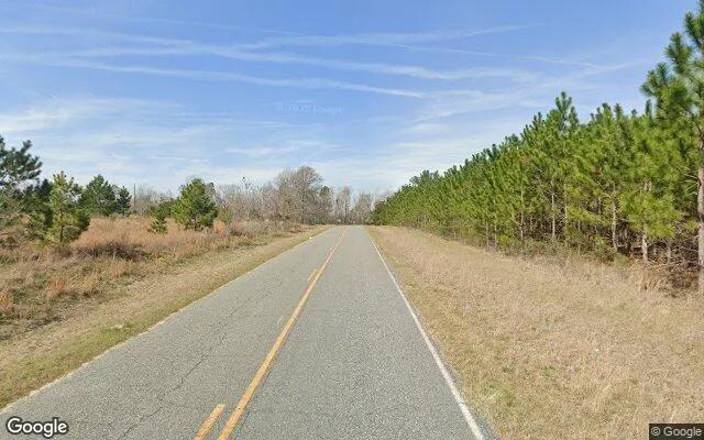 Decorative background for 35.3 Acres in Adrian - Johnson County, GA image 6