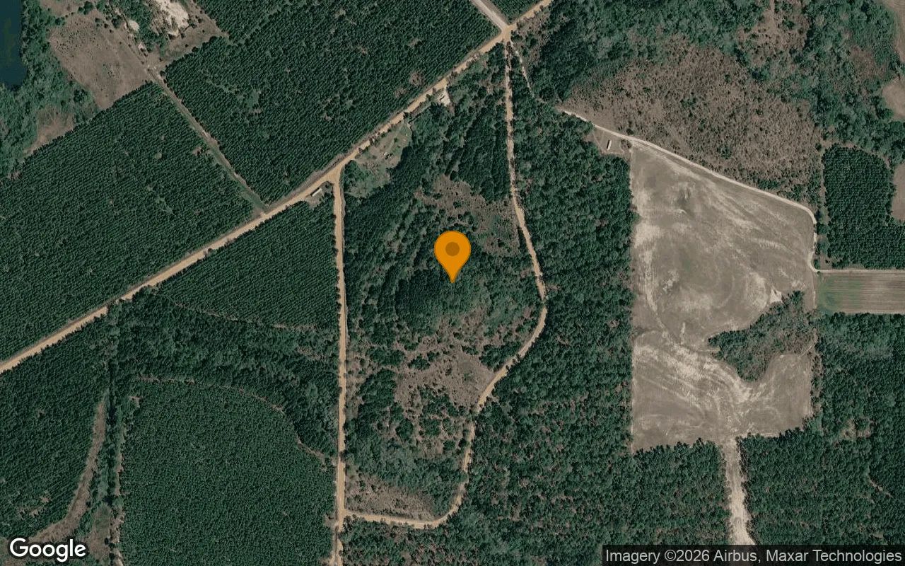 74.8 Acres in Abbeville - Wilcox County, GA in Wilcox County, Georgia