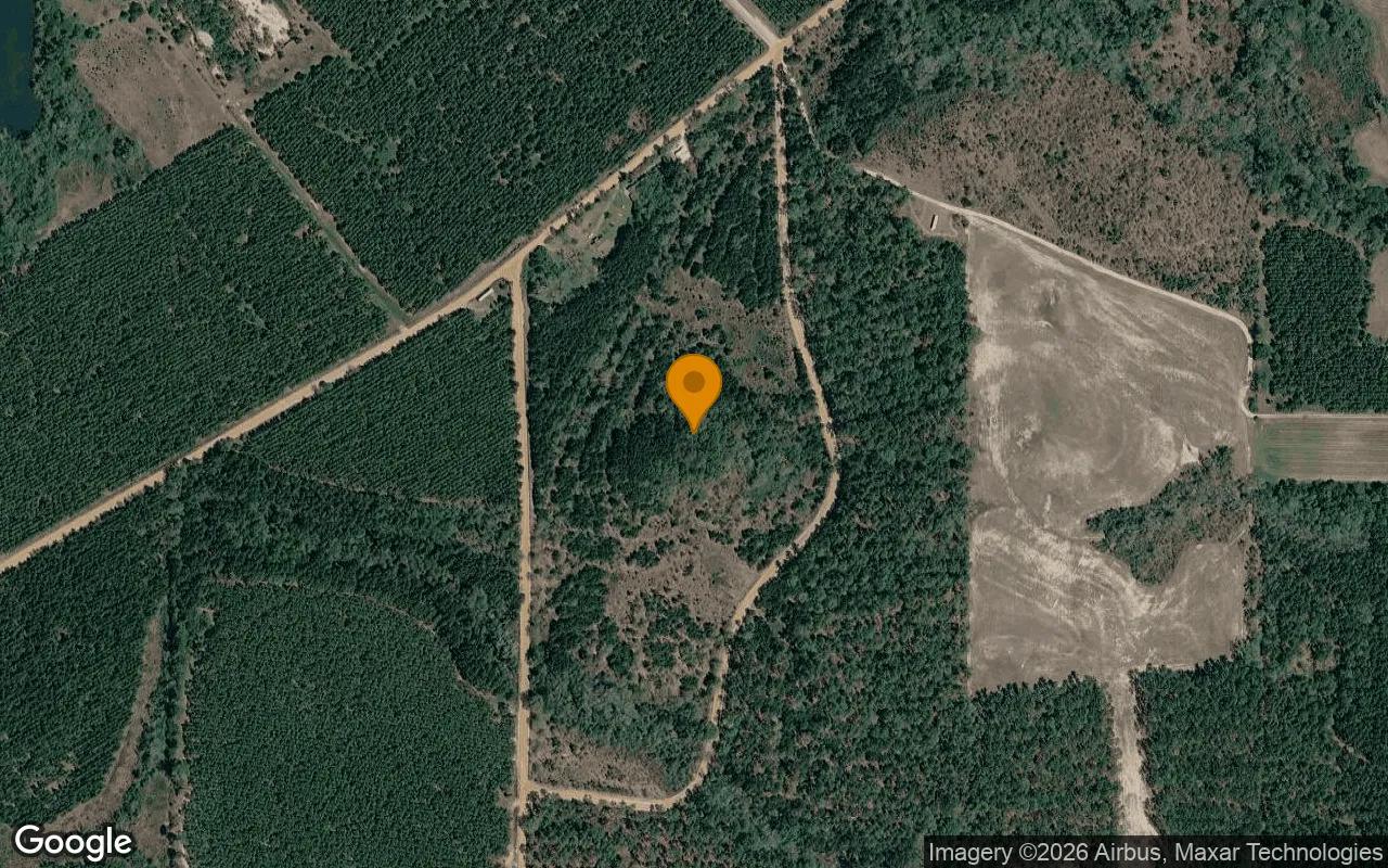 74.8 Acres in Abbeville - Wilcox County, GA - Main image
