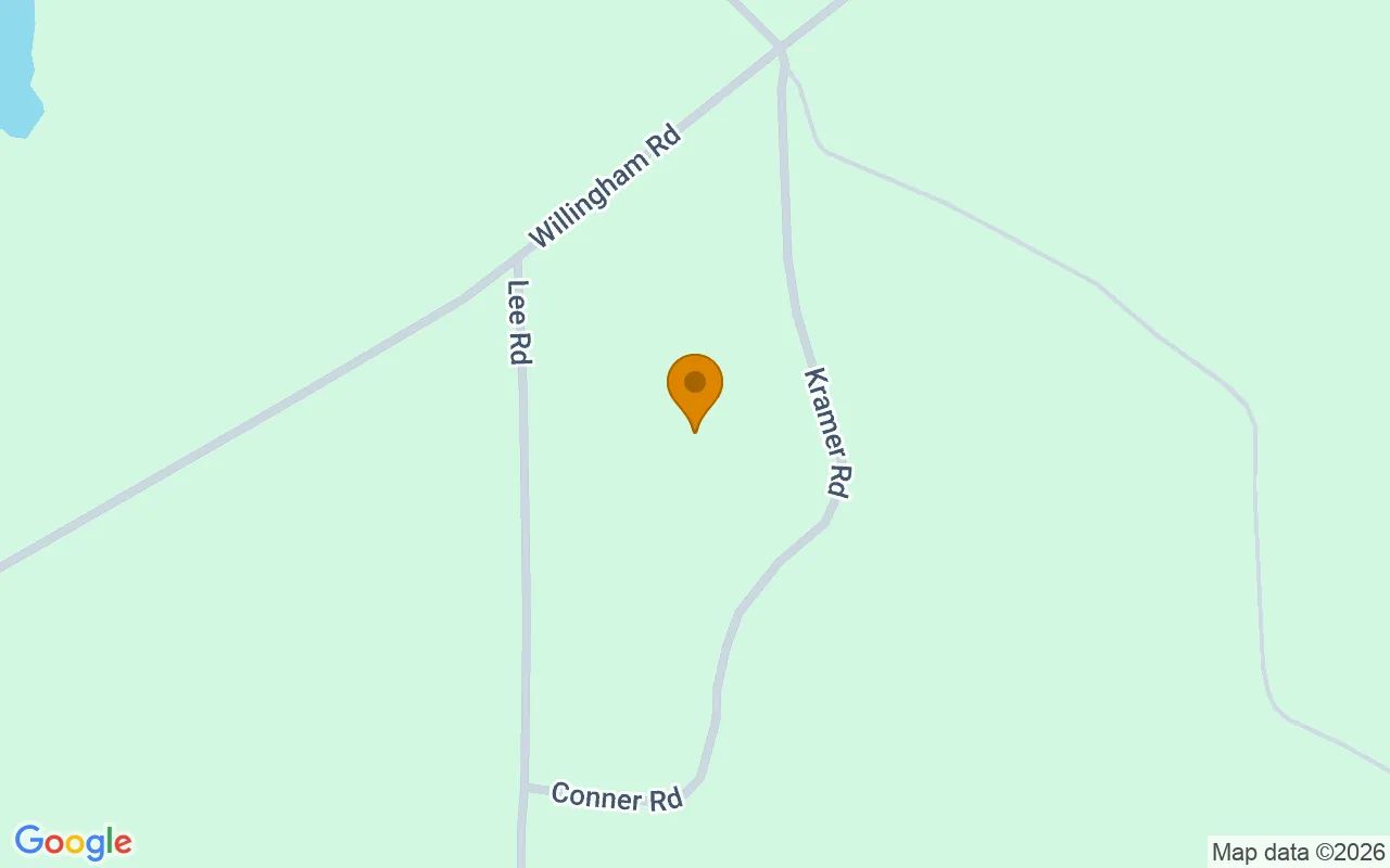 74.8 Acres in Abbeville - Wilcox County, GA in Wilcox County, Georgia