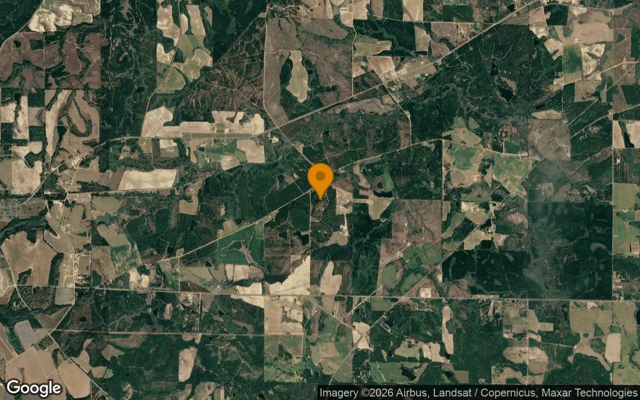 74.8 Acres in Abbeville - Wilcox County, GA in Wilcox County, Georgia