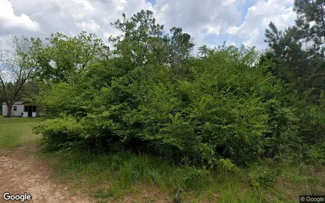 74.8 Acres in Abbeville - Wilcox County, GA in Wilcox County, Georgia