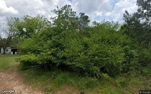 74.8 Acres in Abbeville - Wilcox County, GA - Image 4
