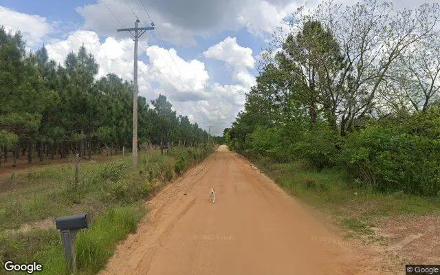 Decorative background for 74.8 Acres in Abbeville - Wilcox County, GA image 5