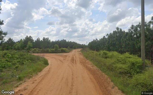 Decorative background for 74.8 Acres in Abbeville - Wilcox County, GA image 6