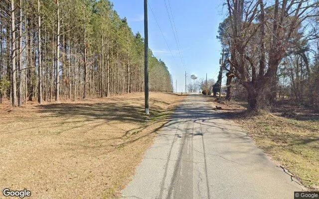 Decorative background for 0.29 Acres in Camak - Warren County, GA image 5