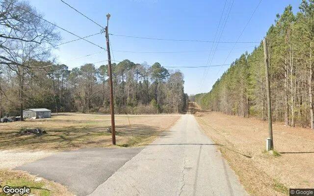 Decorative background for 0.29 Acres in Camak - Warren County, GA image 6